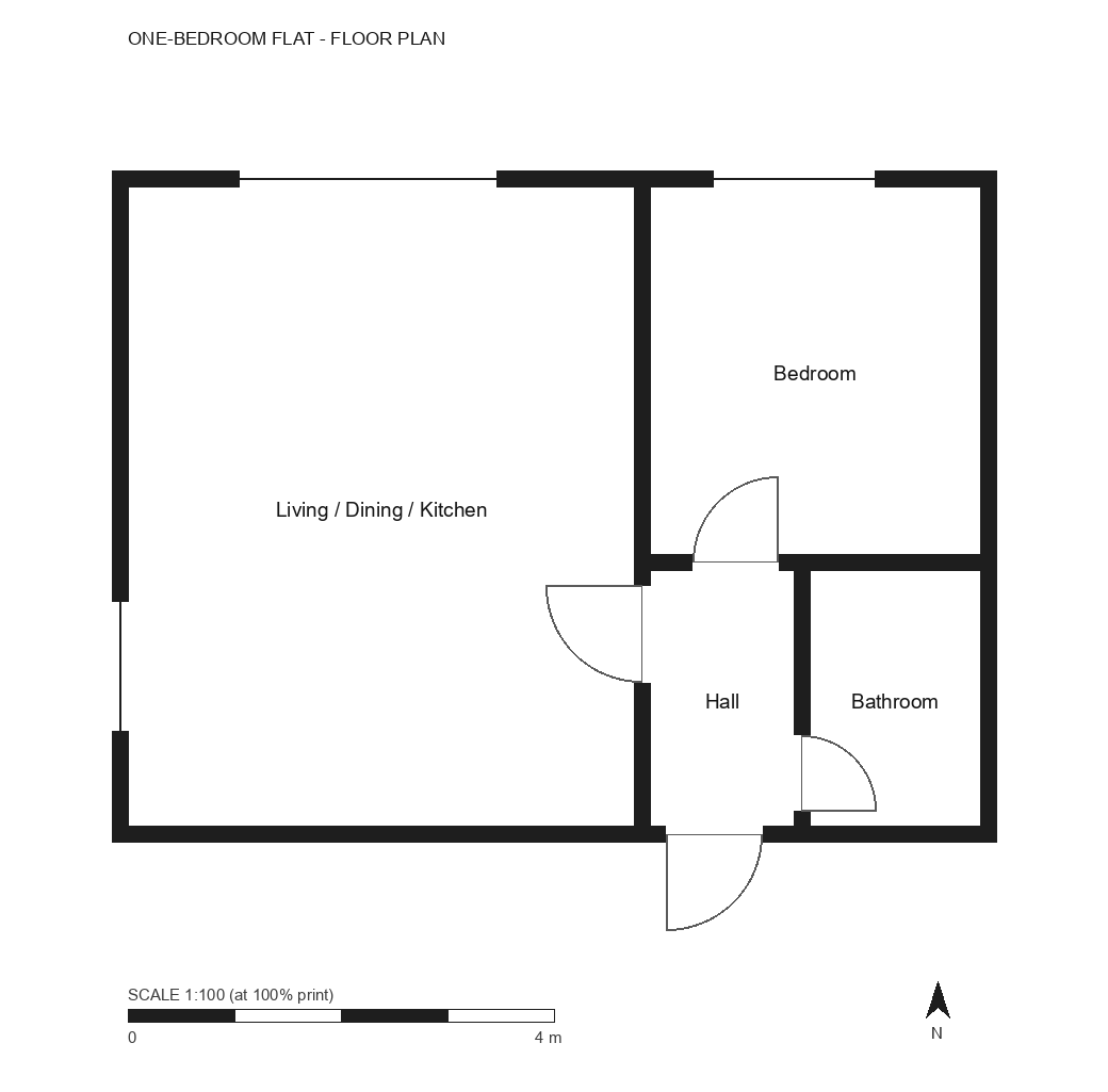 The identical floor plan with all dimension lines and room dimension text removed, leaving room names, the walls, the doors and windows, the 1:100 scale bar and the north arrow
